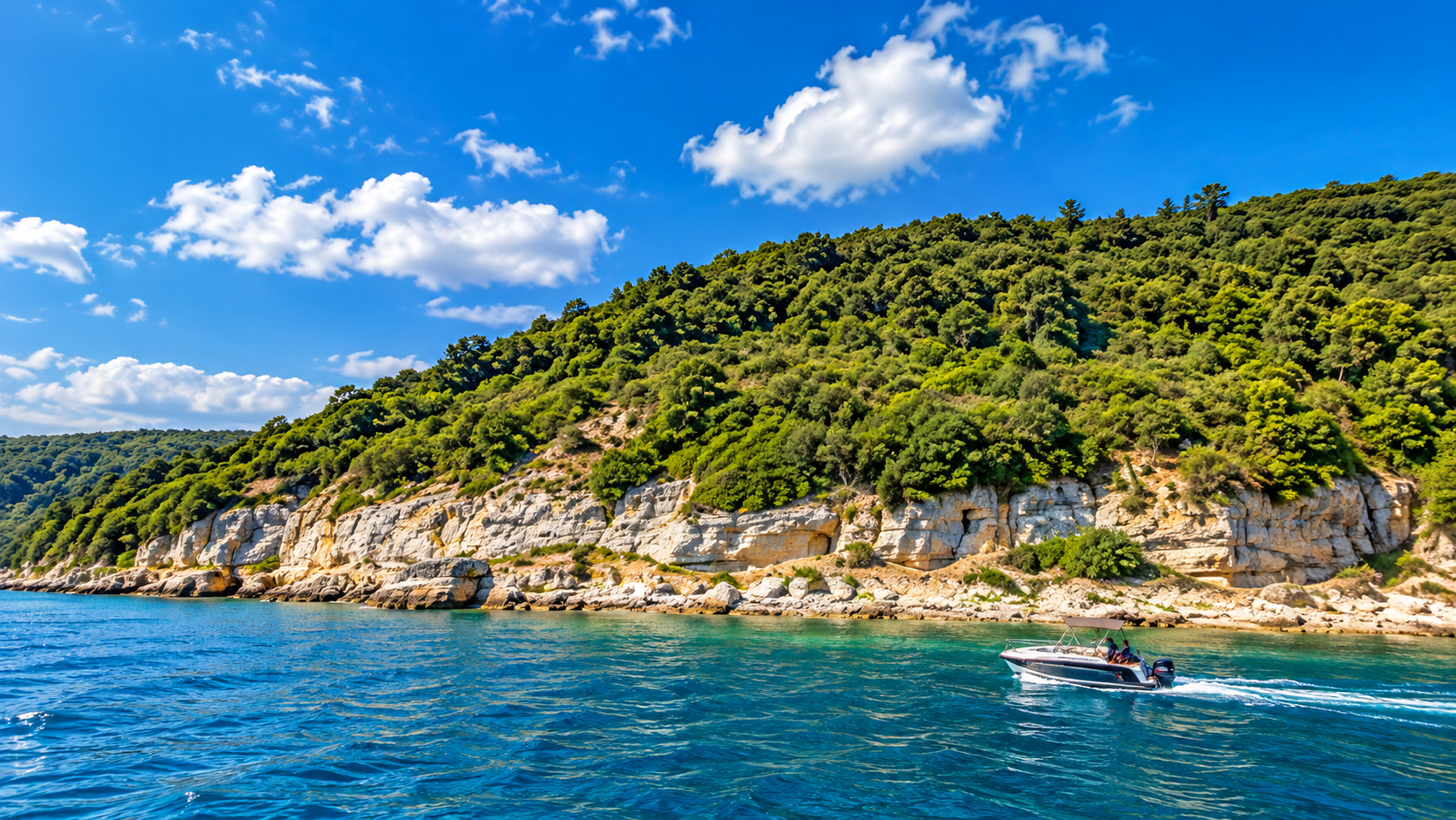 Ağva